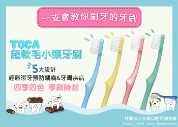 社團法人台灣口腔照護協會-TOCA 超軟毛小頭牙刷(12 入)